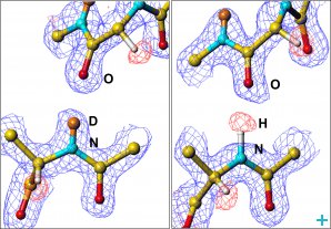 Hydrogen bonds